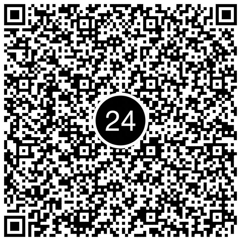 QR_P24